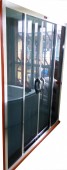 Double Sliding Shower Door